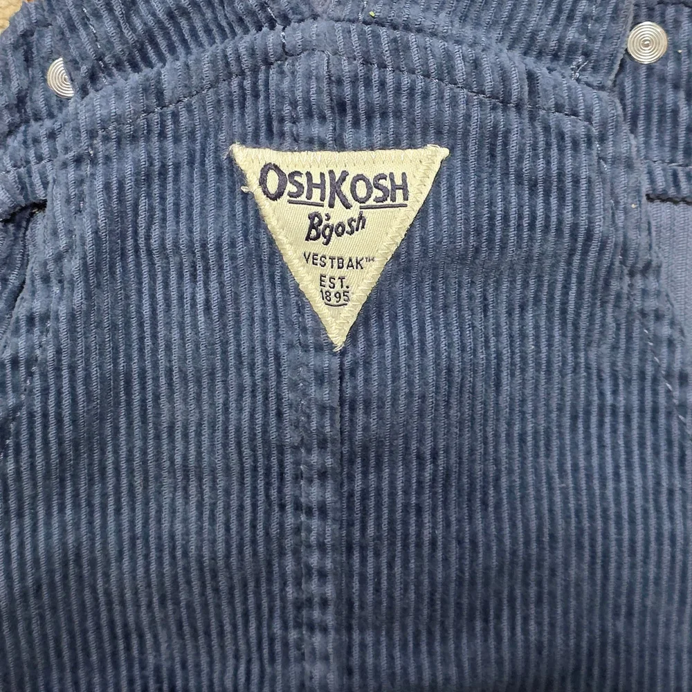 OshKosh B'gosh - Toddler Girls' Blue Corduroy Button-Front Skirtall